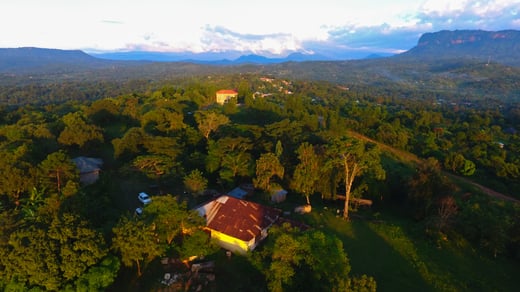 An overhead view of Semei Kakungulu Estate, Uganda, showing lush forest, a house in the foreground and mountains in the background. 